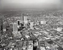 Negative, Sheet Film