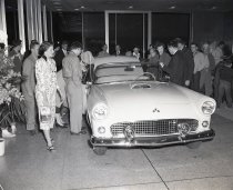 Negative, Sheet Film