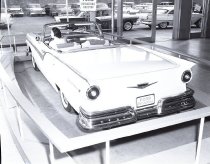 Negative, Sheet Film