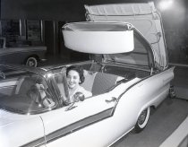 Negative, Sheet Film