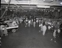 Negative, Sheet Film