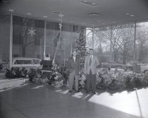 Negative, Sheet Film