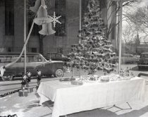 Negative, Sheet Film