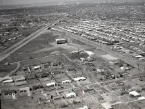 Negative, Sheet Film