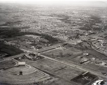 Negative, Sheet Film