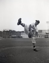 Negative, Sheet Film