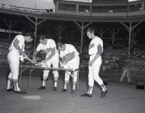 Negative, Sheet Film