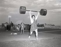 Negative, Sheet Film