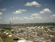 Negative, Sheet Film