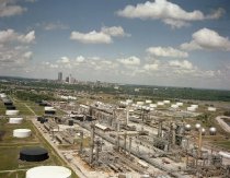 Negative, Sheet Film