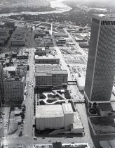 Negative, Sheet Film