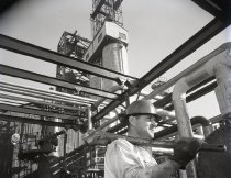 Negative, Sheet Film