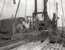 Negative, Sheet Film