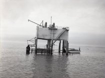 Negative, Sheet Film