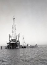 Negative, Sheet Film