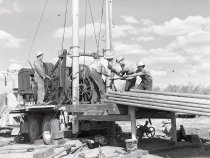 Negative, Sheet Film