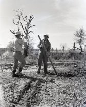 Negative, Sheet Film