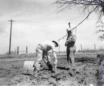 Negative, Sheet Film