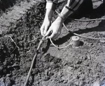 Negative, Sheet Film