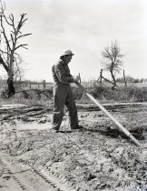 Negative, Sheet Film