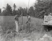 Negative, Sheet Film
