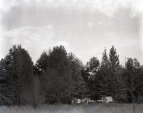 Negative, Sheet Film