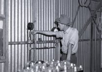 Negative, Sheet Film