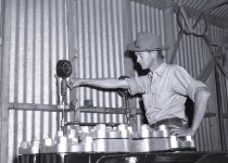 Negative, Sheet Film