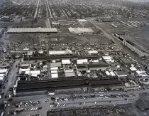 Negative, Sheet Film