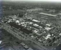 Negative, Sheet Film