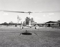 Negative, Sheet Film