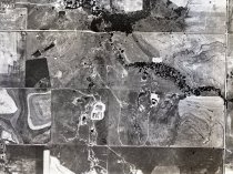 Negative, Sheet Film