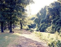 Negative, Sheet Film