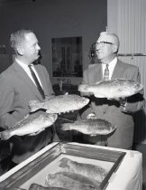 Negative, Sheet Film