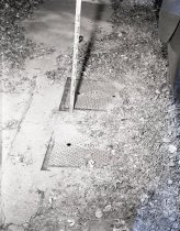 Negative, Sheet Film