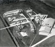 Negative, Sheet Film