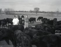 Negative, Sheet Film