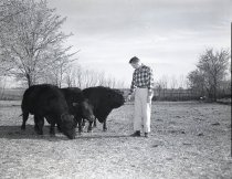 Negative, Sheet Film