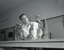 Negative, Sheet Film