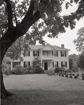 Negative, Sheet Film