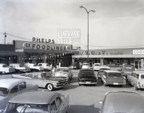 Negative, Sheet Film