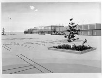 Negative, Sheet Film