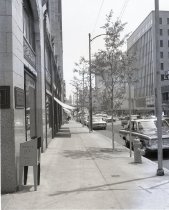 Negative, Sheet Film