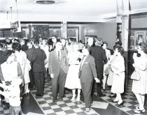 Negative, Sheet Film