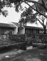 Negative, Sheet Film