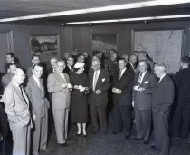 Negative, Sheet Film