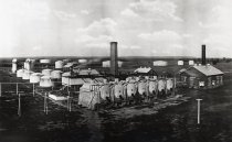 Negative, Sheet Film