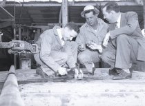 Negative, Sheet Film