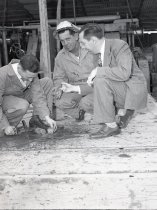 Negative, Sheet Film