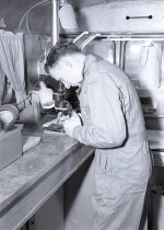 Negative, Sheet Film